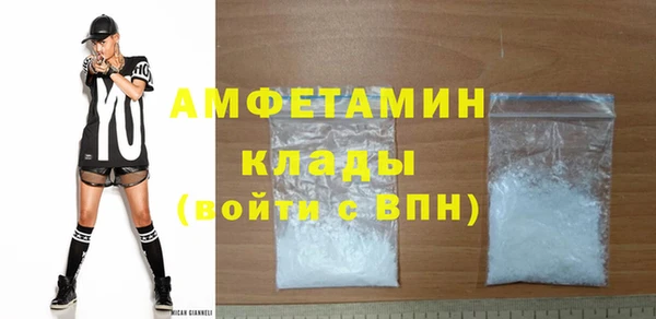 прущие грибы Балахна