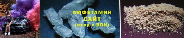 прущие грибы Балахна