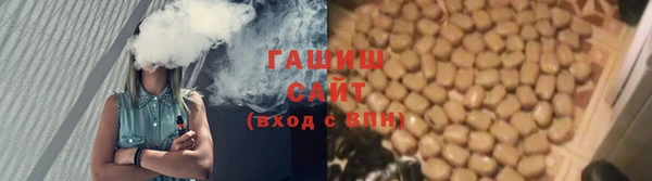 прущие грибы Балахна